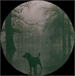 Dog in Fog